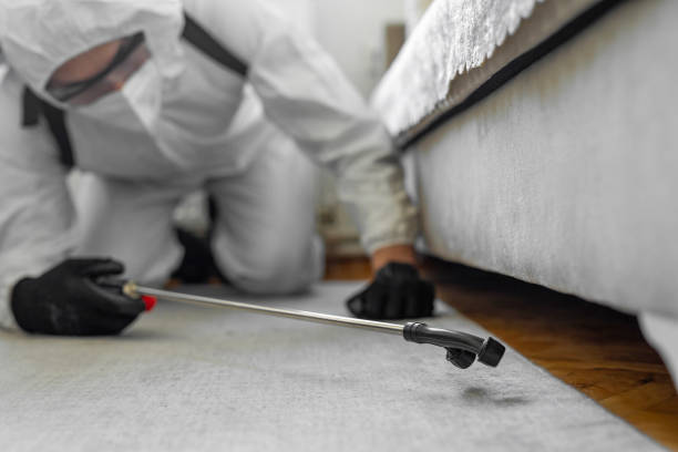 Professional Ant Control technician working in Holland, TX